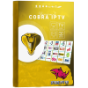 Cobra iptv meilleur serveur iptv en 2025 dans lemonde entier